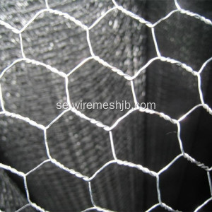 25mmx1mx45m Heksagonal Wire Mesh För Fjäderfä Coop